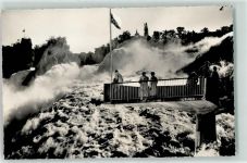 8212 Neuhausen am Rheinfall - Fischetz