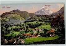 8757 Filzbach 1919 - Mürtschenstock