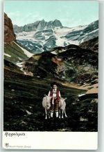 Ringelspitz - Junge mit Ziegen