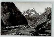 Tödi Foto AK Baumgartenalp mit Tödi