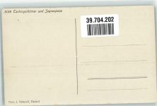 Tschingelhorn Foto AK Foto Gaberell Segnespass