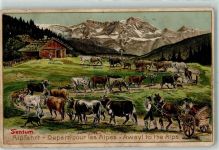 2072 Voëns St-Blaise 1910 Gebrauchsspuren Alpfahrt Kühe Ort lt.Stempel Prägedruck