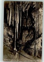 6340 Baar Foto AK Verlag U. Fotgraf Max Burkhardt Wurzelgrotte Höllgrotten