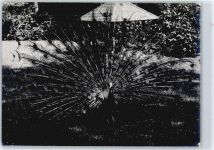 5106 Veltheim AG - Foto ca. 13x18 cm