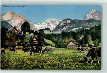 Toggenburger Heimetli Trachten Toggenburg