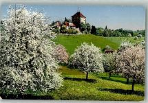 6284 Gelfingen 1917 Foto AK Schloss Heidegg