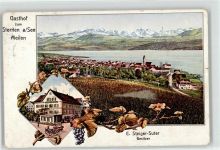 8706 Meilen 1911 Lithographie Gasthaus zum Sternen