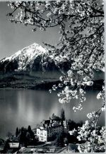 3654 Gunten - Thunersee, Niesen