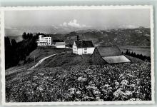 9413 Oberegg 1954 - Hotel Alpenhof Bahnpost Ambulant