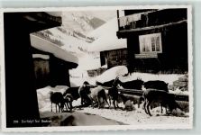 7188 Sedrun - Winter Ziegen