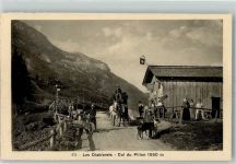 Diablerets - Col du Pillon Kutsche Fahrrad Fahne
