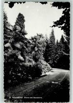 6986 Novaggio - Park Sanatorium