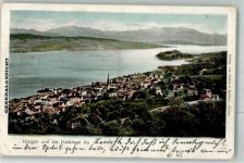 8810 Horgen 1904 Foto AK Halbinsel Au