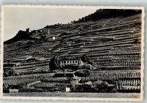 1070 Treytorrens Lavaux Foto AK Weinterrassen