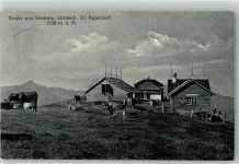 9107 Urnäsch - Hochalp Kühe