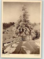 6410 Rigi Klösterli Foto AK Winter Foto Gaberell Serie Biefaisance