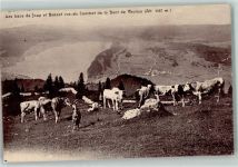 2416 Les Brenets Gebrauchsspuren Lac de Joux Kuhherde