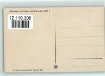 6454 Flüelen - Axenstrasse mit Flüelen und Bristenstock