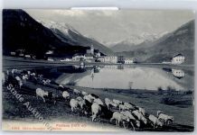 7553 Tarasp - Kirche, See, Schaafherde