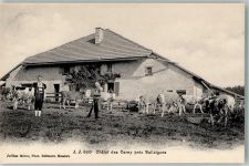 1338 Ballaigues Foto AK Tracht Kühe Chalet des Cerny
