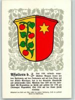 8910 Affoltern am Albis Künstlerkarte Zürcher Gemeindewappen
