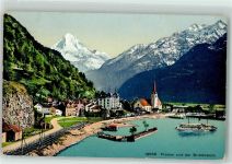 6454 Flüelen - Bristenstock