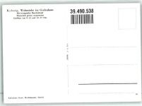 8314 Kyburg - Wohnstube Grafenhaus