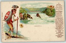 8212 Neuhausen am Rheinfall - Werbung Apotheker Richard Brandt