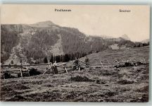 Seebenalp Foto AK Foto Geering Sexmor Prodklamm