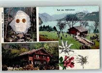 6441 Rütli - Auf der Rütliwiese Krauer und Greith-Denkmal Rütlihaus