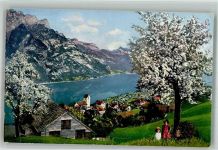 8758 Obstalden 1918 Foto AK