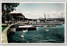 1110 Morges Foto AK Hafen