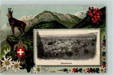 9424 Rheineck 1918 Prägedruck Passepartout Verlag Guggenheim 20032