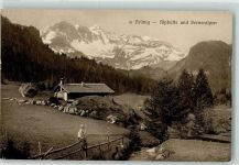 3860 Brünig 1915 - Alphütte und Berneralpen