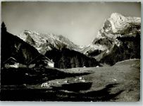 9657 Unterwasser - Auf dem Älpli mit Säntis und Schafberg