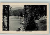 7018 Flims Waldhaus - Seepromenade