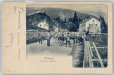 1337 Vallorbe - Kuh
