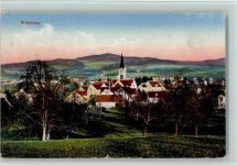 8620 Wetzikon ZH 1925 - Nr. 16612 Verlag Guggenheim , Vue generale, gute Erhaltung AK