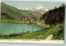 7513 Silvaplana 1908 - Kühe Piz della Margna