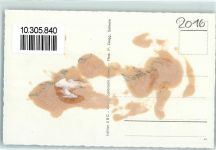 2016 Cortaillod Gebrauchsspuren Fliegeraufnahme