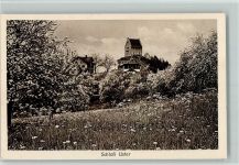 8610 Uster 1921 - Schloss blühende Bäume