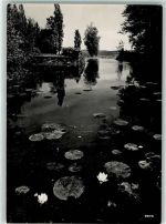 8803 Rüschlikon Foto AK Stiftung Im Grüene Parkweiher Seerosen