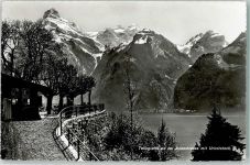 Axen - Tellsplatte an der Axentraße mit Urirotstock