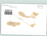 6174 Sörenberg Gebrauchsspuren Alphütte