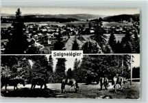 2350 Saignelégier - Pferde