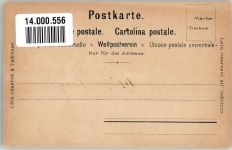 Rigi Kulm Lithographie sign. Steinmann, C. Panorama gegen Nord