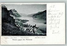 8872 Weesen Gebrauchsspuren 1900 Walensee