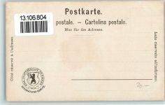 9000 St. Gallen S. Gallo 1904 - Offiz. Karte Nr. 1 - Festhütte, Schützenfest AK