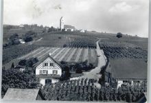 8215 Hallau - Bergkirche St. Moritz