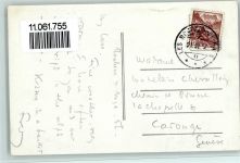 Rochers de Naye - Vue depuis les Rochers de Naye en soir de 1. août Nachtaufnahme